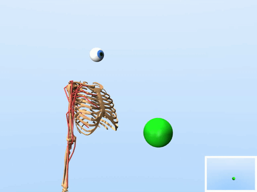 A biomechanical model performing a mid-air pointing task.